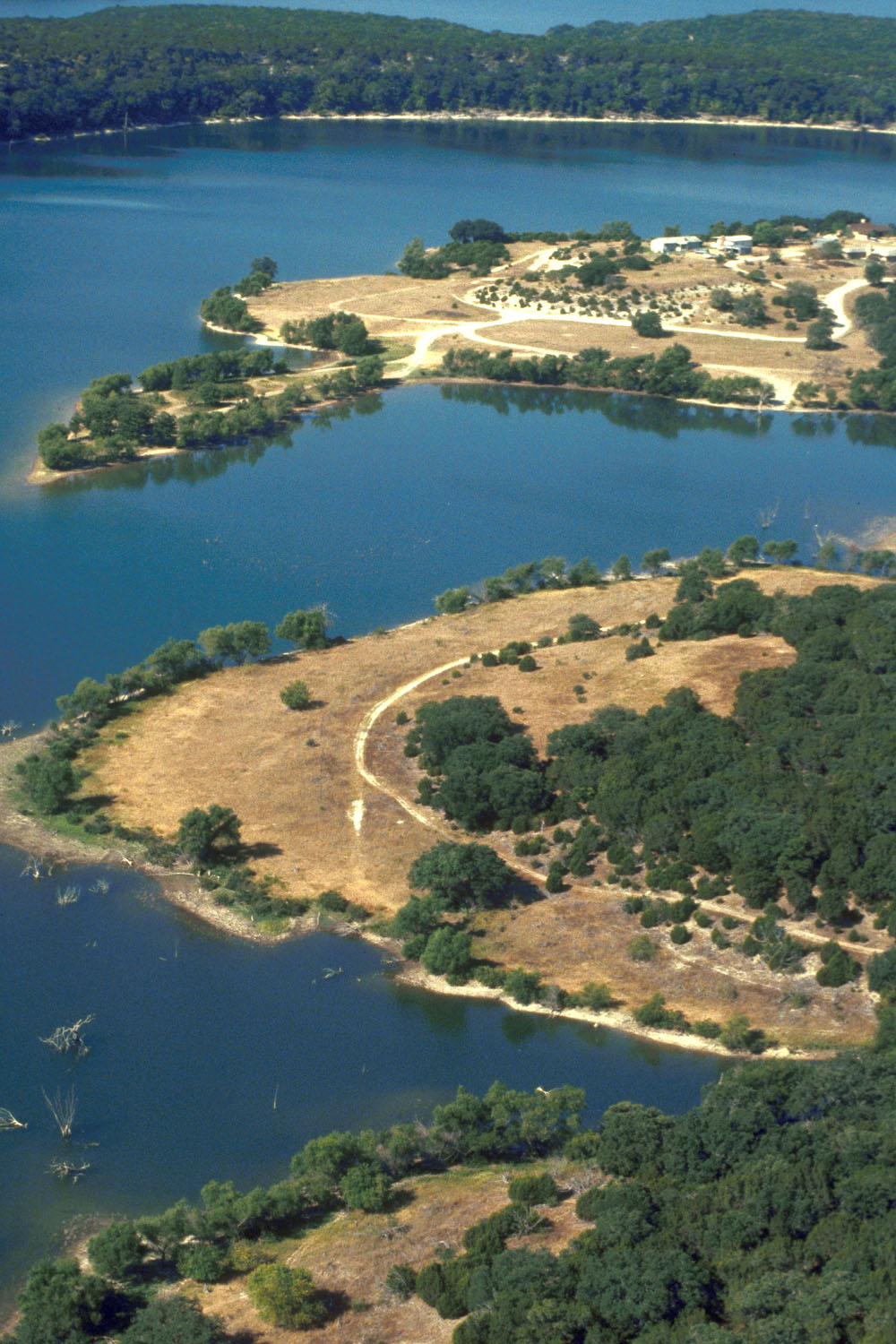Aerial view of Belton Lake shoreline, Bell County, Texas